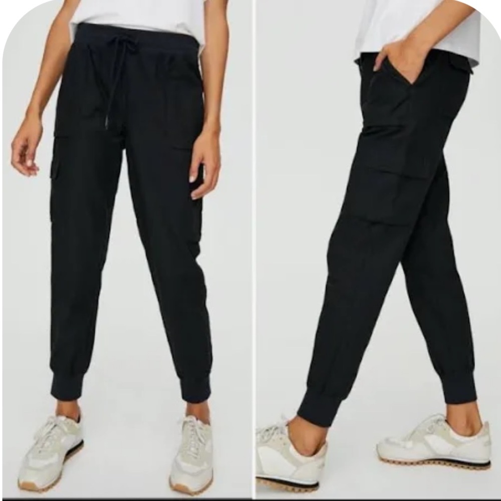Aritzia Community Cebu Joggers